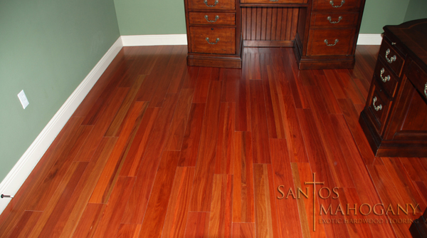 Santos Mahogany Flooring Rich Exotic Hardwood Flooring